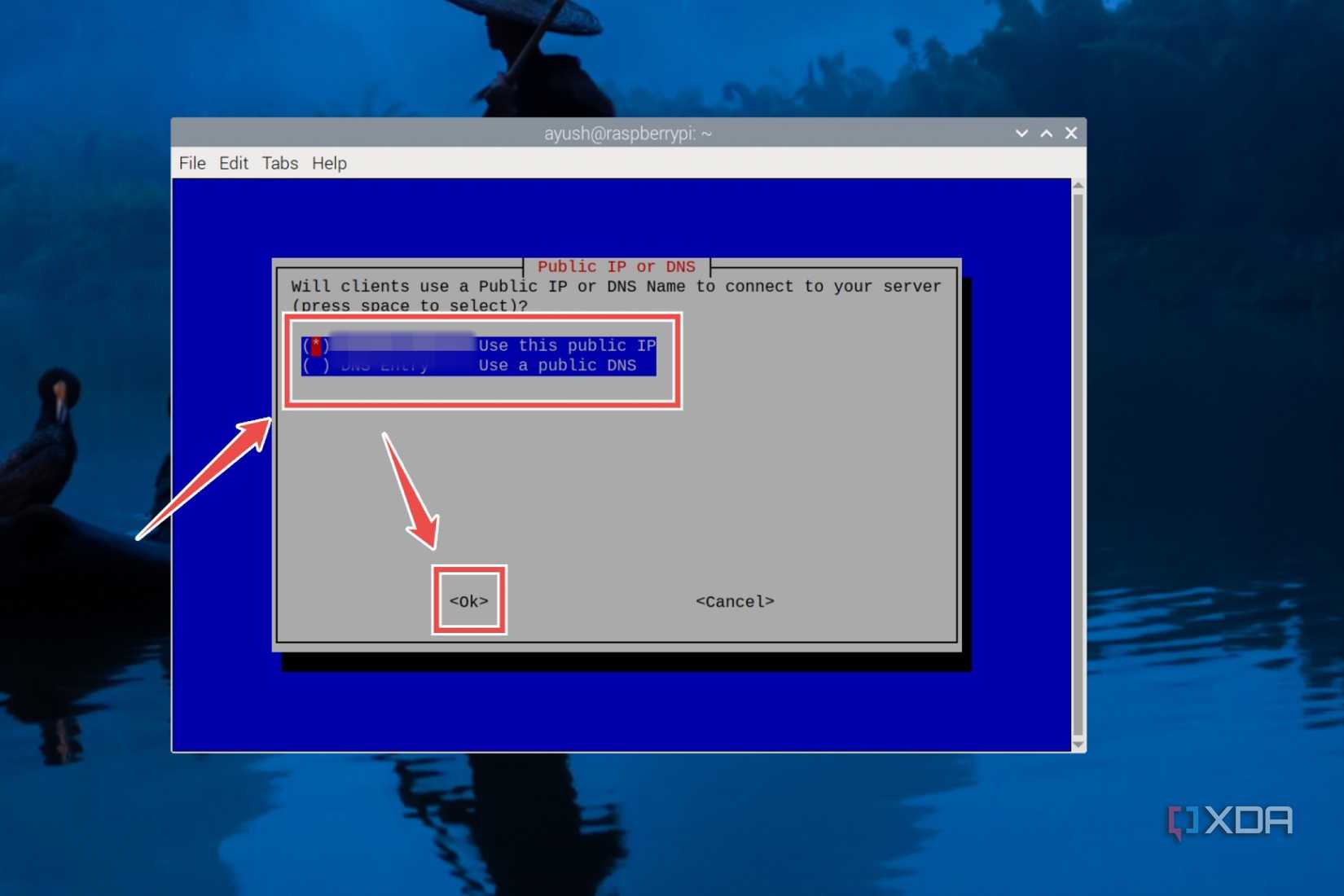 Choosing between Public IP and Public DNS in the PiVPN installer