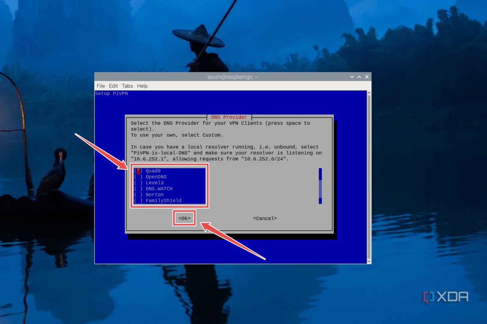 The procedure to pick a DNS provider in the PiVPN installer