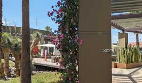 Pixel-7a-Camera-Comparison-4