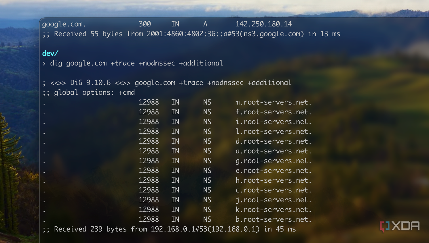 Screenshot of a DIG command to DNS root servers.