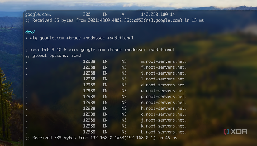 Screenshot of a DIG command to DNS root servers.