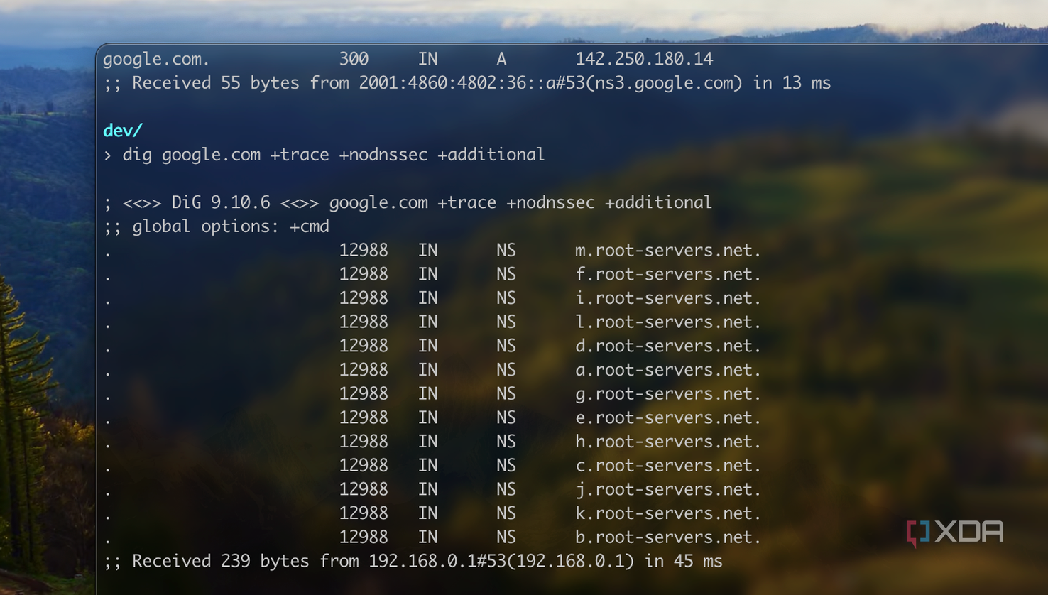 Screenshot of a DIG command to DNS root servers.