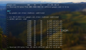 Screenshot of a DIG command to DNS root servers.
