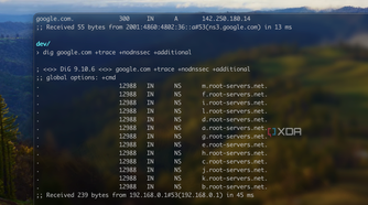 Screenshot of a DIG command to DNS root servers.