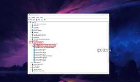 Windows 11 screenshot that shows the network adapters branch in Device Manager