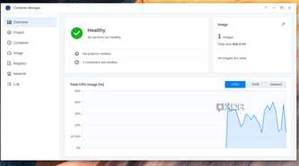 synology-dsm-container-manager-dashboard-running-screenshot