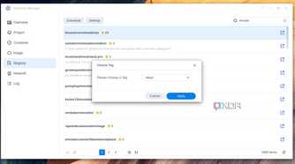Downloading EmulatorJS through Container Manager