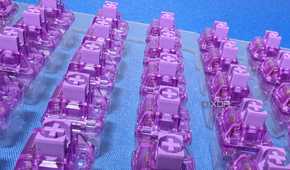 akko jelly purple switches in tray sideways