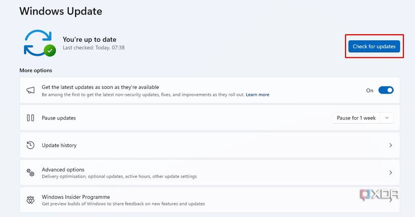 windows check for updates options