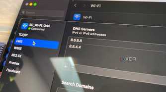 Custom DNS input on Mac OS
