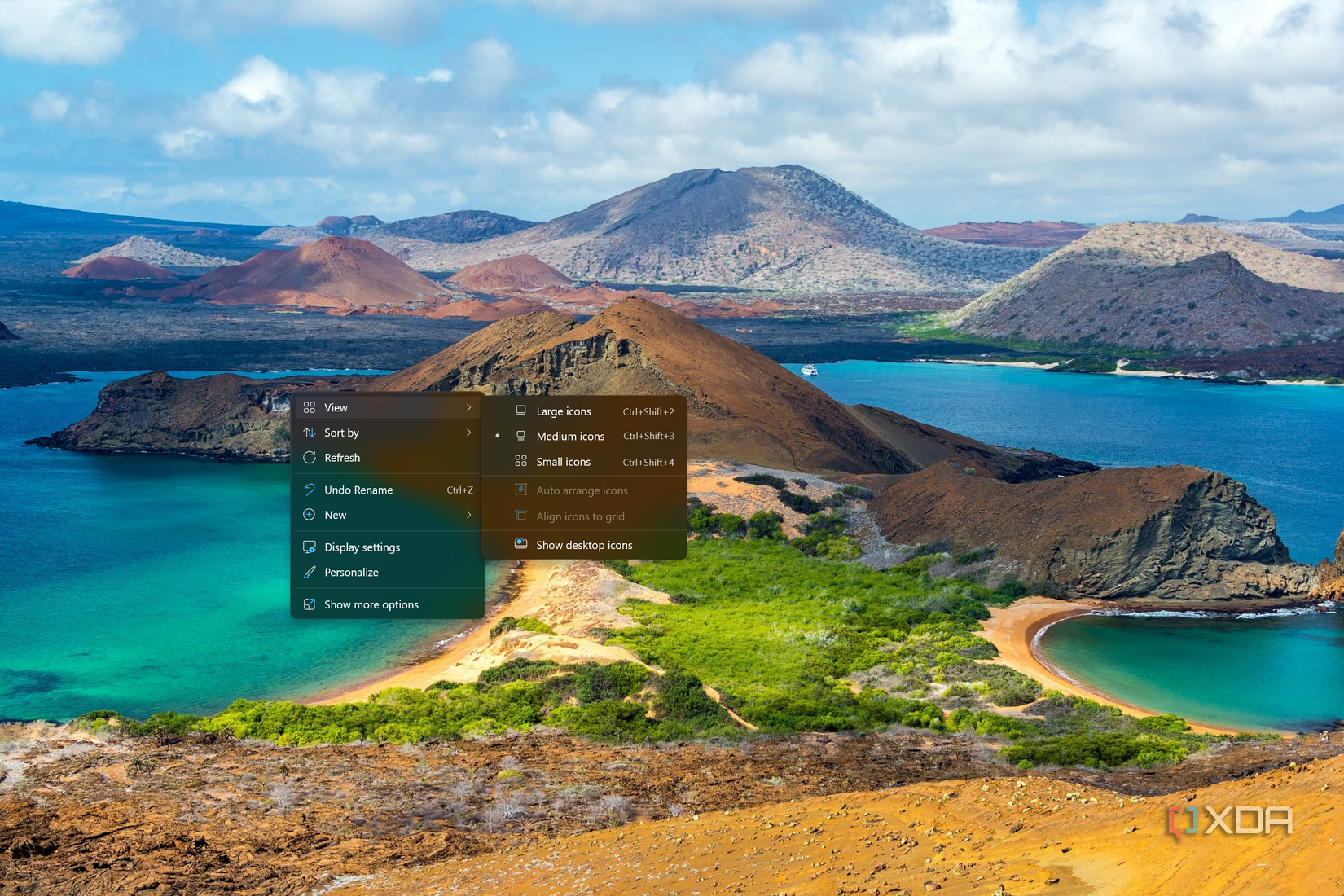 Screenshot of a Windows 11 desktop with all desktop icons hidden