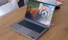 Angled view of the HP ZBook Firefly 14 G11 showing the Windows 11 desktop
