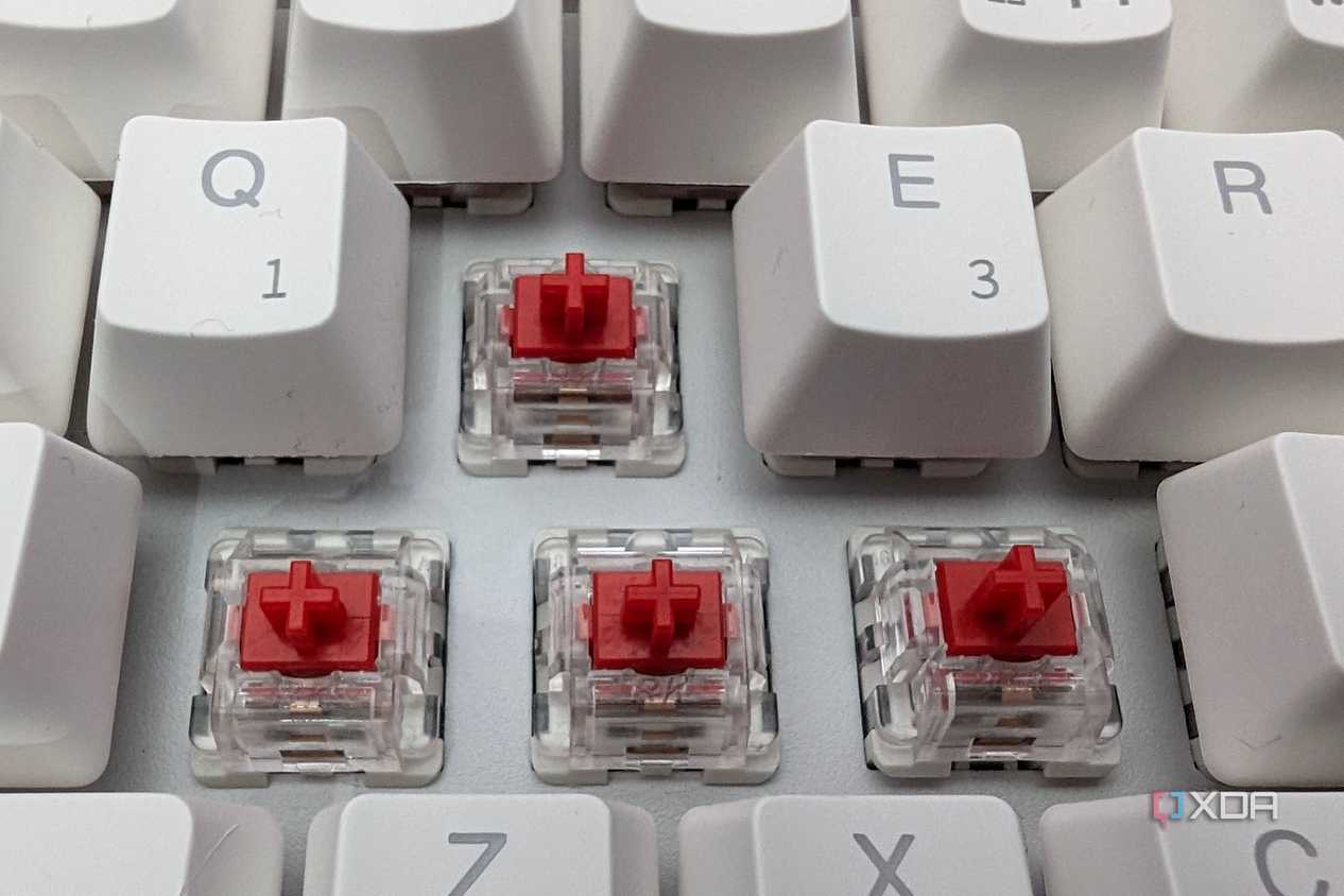 rk red switches in rk61 keyboard