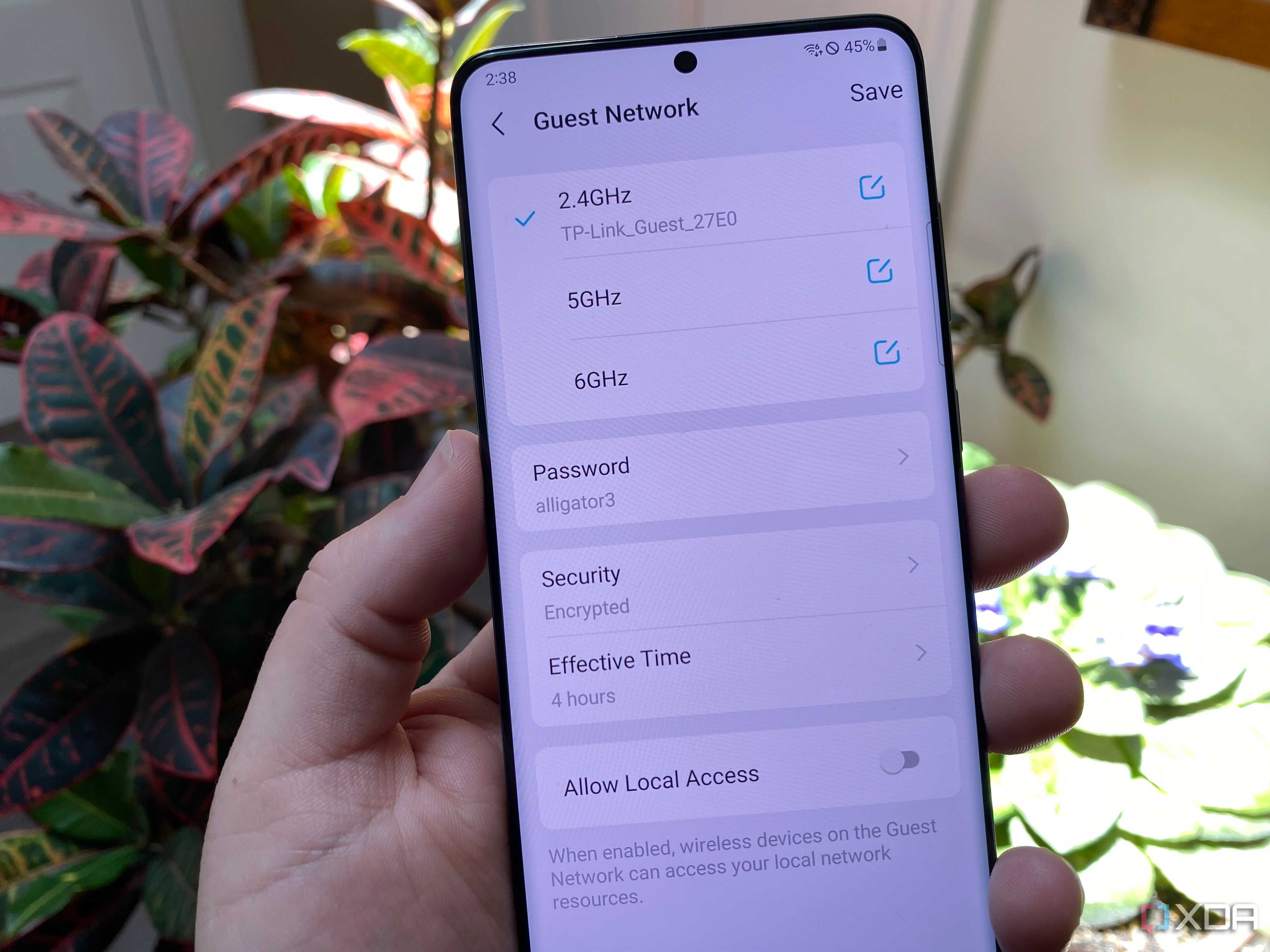 A photo of person showing a guest network set up on a smartphone