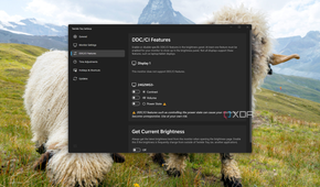 Screenshot of Twinkle Tray settings window showing DDC/CI features