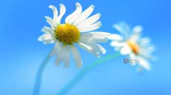 The default Windows 8 desktop