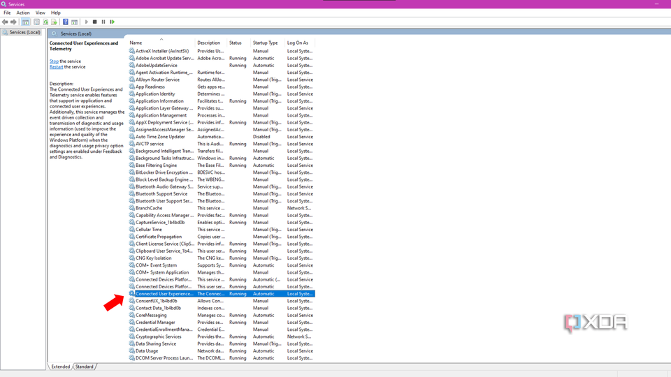 The Windows Services tab