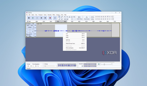 Screenshot of Audacity on Windows