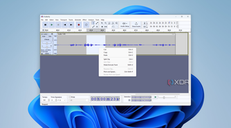 Screenshot of Audacity on Windows
