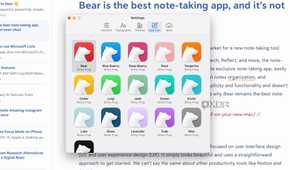 Bear Locker Note Bear is the best note-taking app, without a doubt