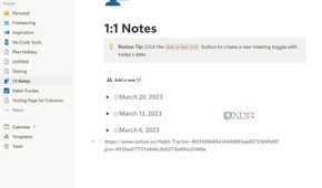 A screenshot showing Notion notes