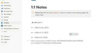 A screenshot showing Notion notes