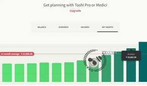 A screenshot showing Toshl income