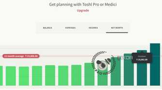 A screenshot showing Toshl income