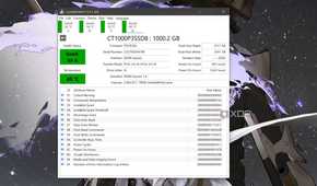 The S.M.A.R.T. metrics of a drive visible in CrystalDiskInfo