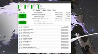The S.M.A.R.T. metrics of a drive visible in CrystalDiskInfo