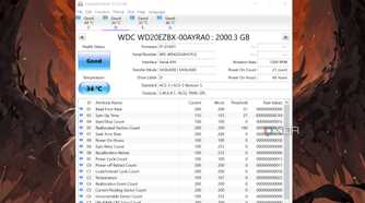 The S.M.A.R.T. metrics of a drive visible in CrystalDiskInfo