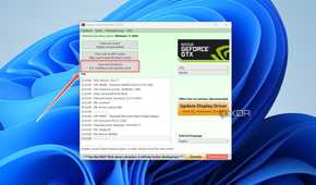 Picking Clean and shutdown in DDU