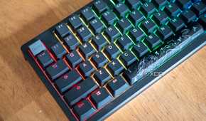 Ducky-Zero-6108-3