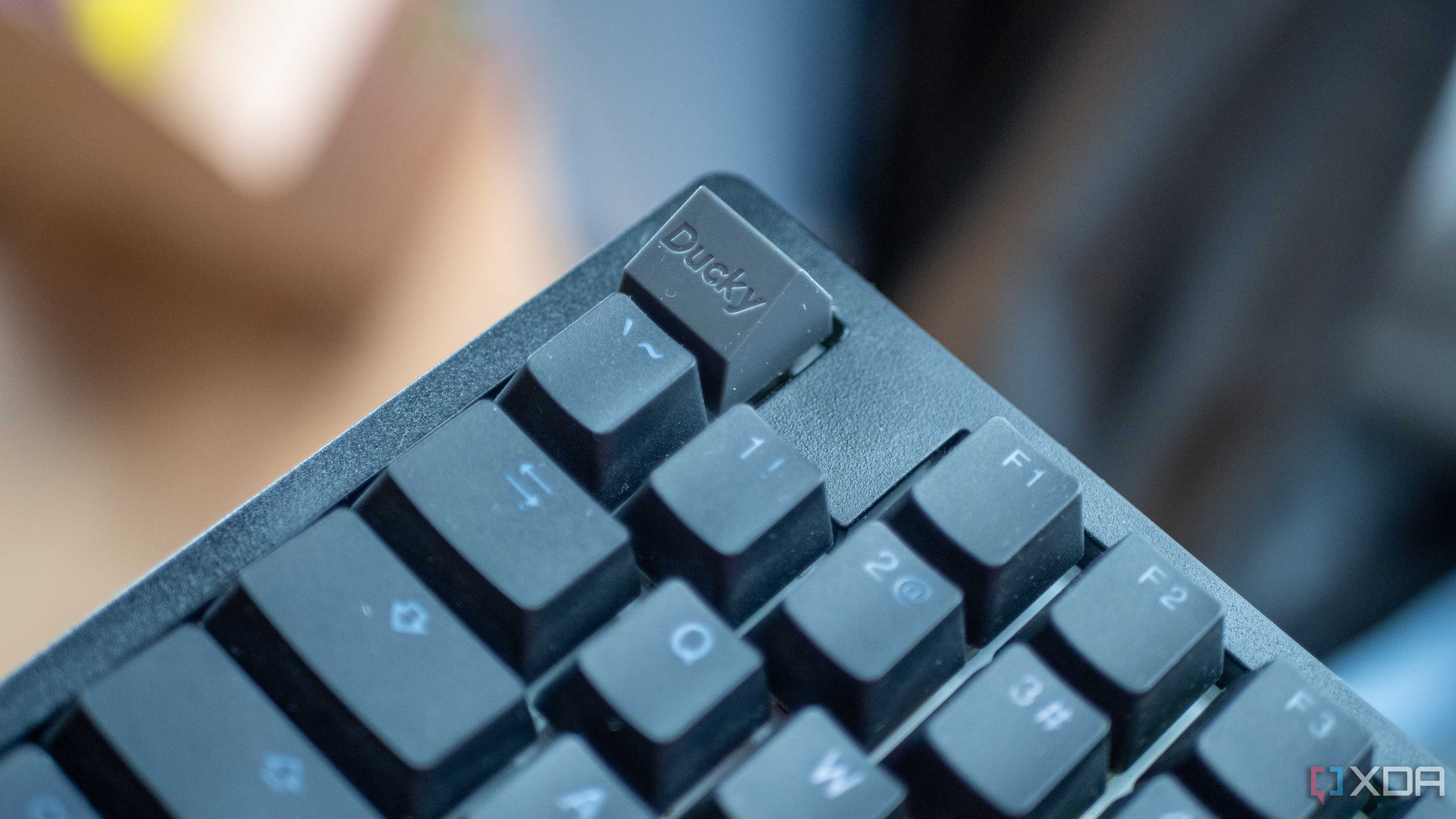 Ducky-Zero-6108-5