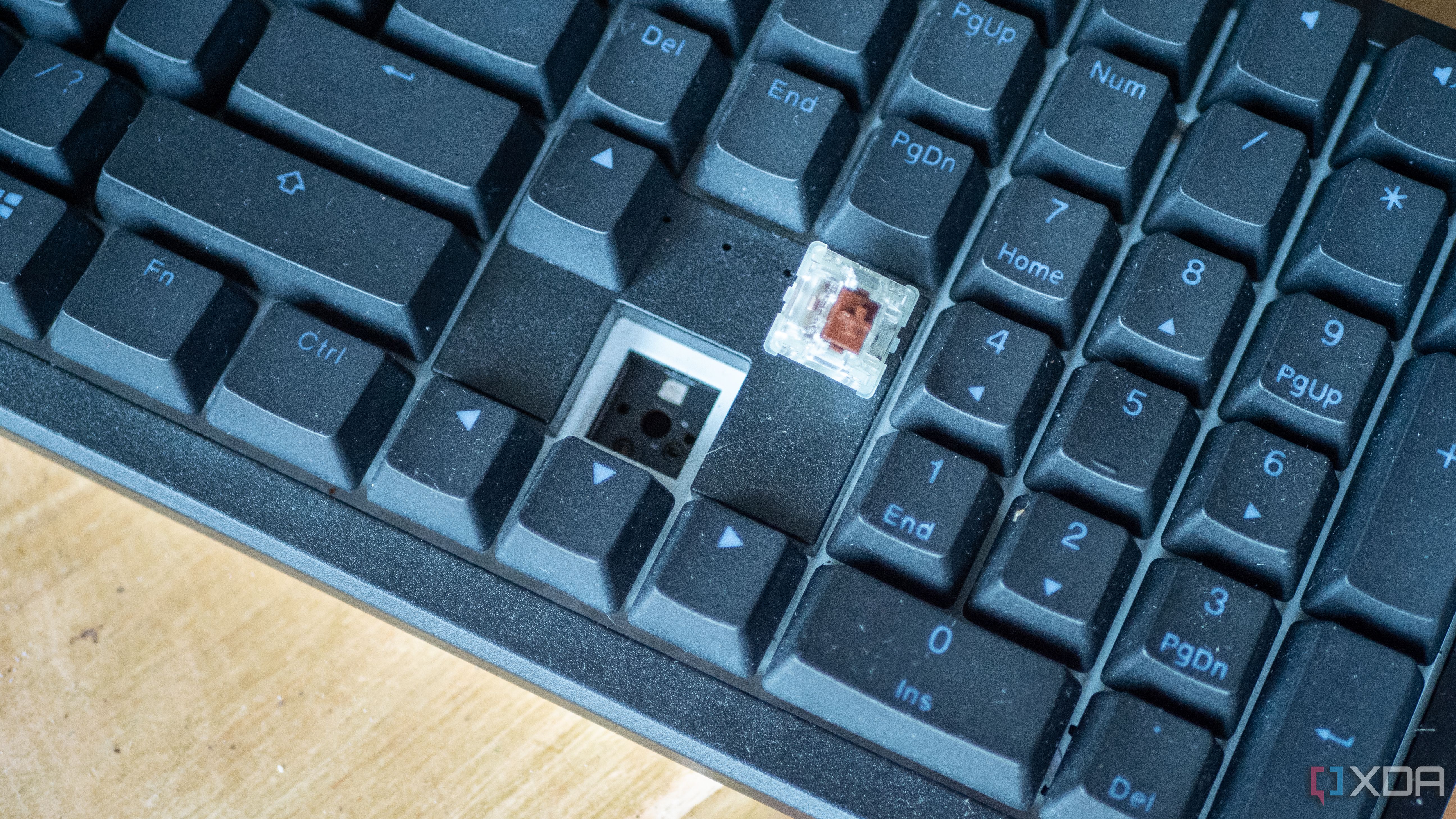 Ducky-Zero-6108-6