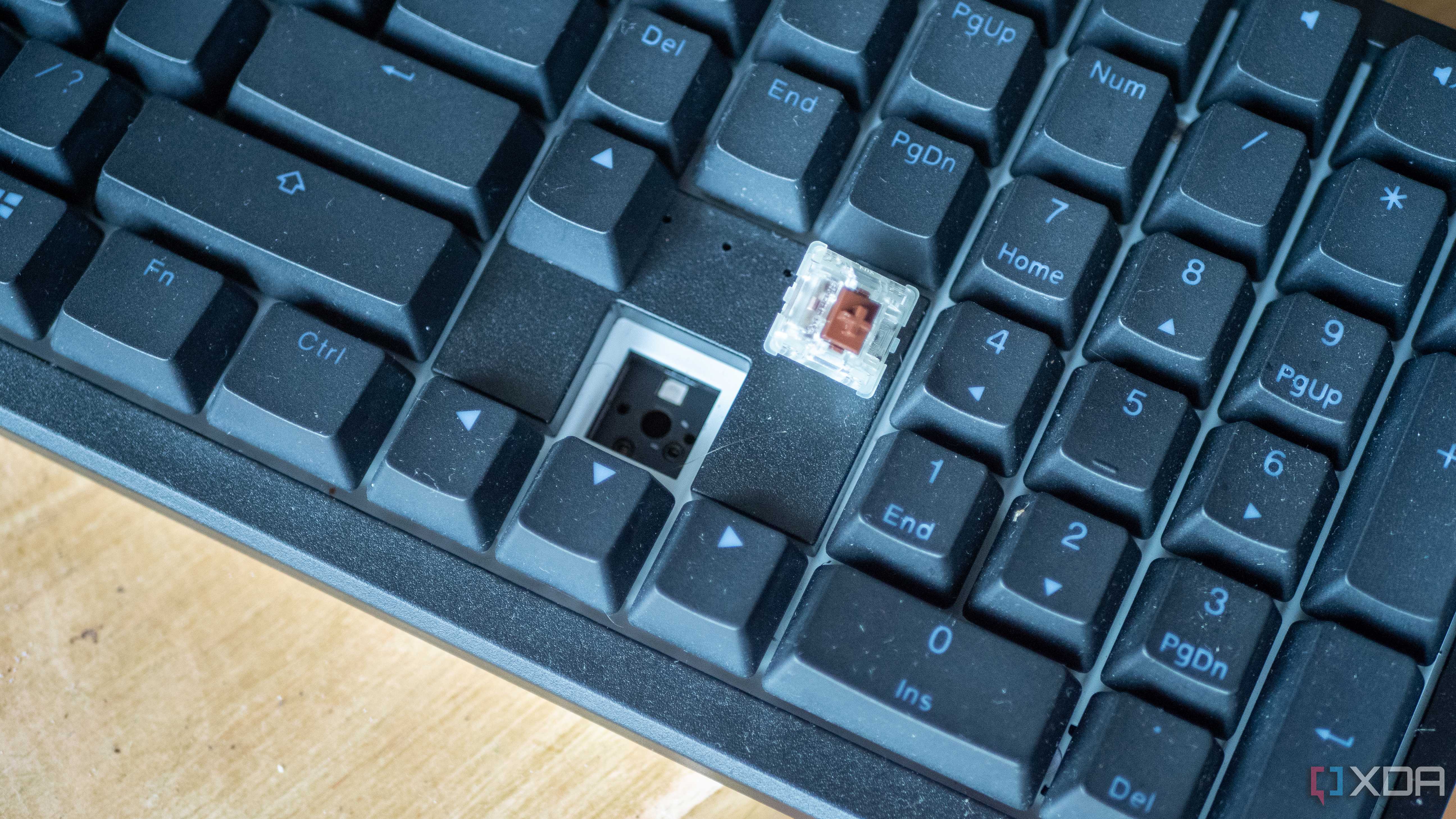 Ducky-Zero-6108-6