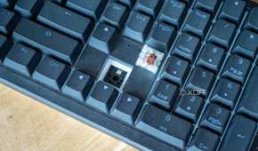 Ducky-Zero-6108-6