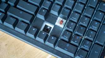 Ducky-Zero-6108-6
