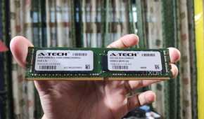 A person holding a 32GB ECC DDR4 RAM stick