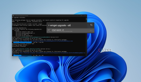 Screenshow showing a shell command being run through Flow Launcher in Windows 11