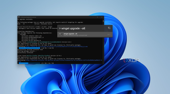 Screenshow showing a shell command being run through Flow Launcher in Windows 11