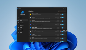 Screenshot of installed plugins in Flow Launcher