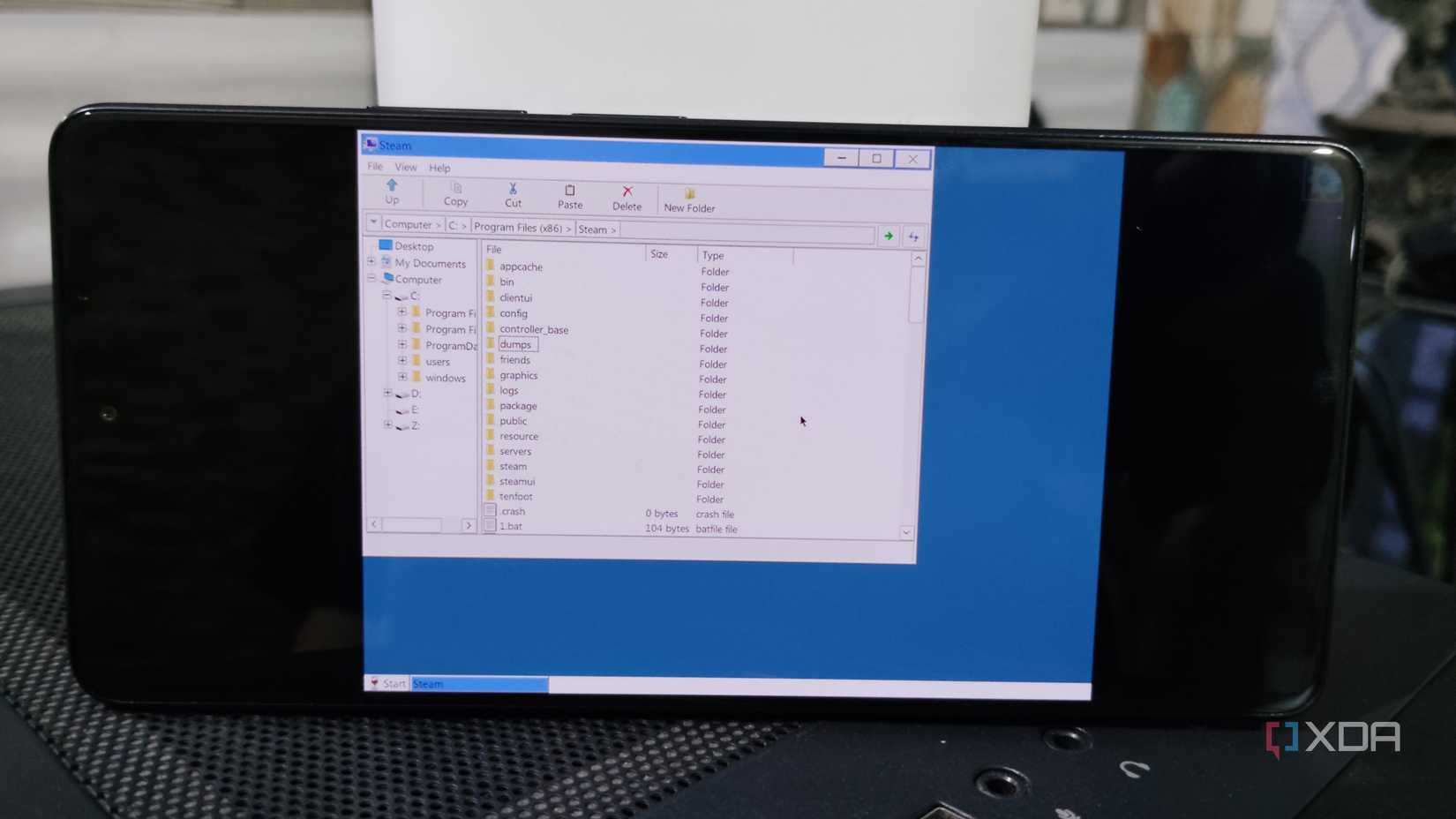 The Steam folder inside a Horizon-Emu container