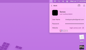 An example of the Apple Passwords app in the menu bar.