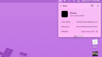 An example of the Apple Passwords app in the menu bar.