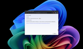 Screenshot of package files that can be downloaded for a given Windows update in Microsoft Update Catalog
