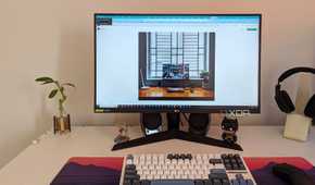A PC setup with a plant on the desk next to the monitor and keyboard