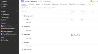 Asana home