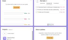 Asana widgets