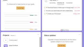 Asana widgets